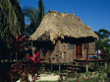 Typical Thatched Wooden Hut on the Island  Caye Caulker  Belize  Central America