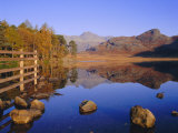 View Across Blea Tarn to Langdale Pikes  Lake District  Cumbria  England  UK Autumn