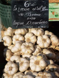 Garlic for Sale on the Market in Cours Saleya  Nice  Alpes Maritimes  Cote d'Azur  Provence  France