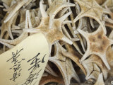 Dried Starfish for Sale in Seafood Shop  Chinatown  Singapore  South East Asia