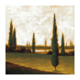 Afternoon Calm III