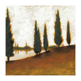 Afternoon Calm I