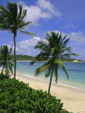 Palm Trees and Beach  Half Moon Bay  Antigua  Leeward Islands  Caribbean  West Indies