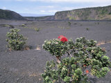 Halemaumau Crater  Big Island  Hawaii  Hawaiian Islands  USA