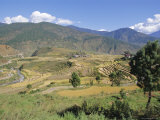 Terraces on Hillsides  Thimpu  Bhutan