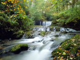 Stock Ghyll Beck  Ambleside  Lake District  Cumbria  England