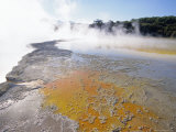 Champagne Pools Steaming  Waiotapu Thermal Reserves  Rotorua  North Island  New Zealand