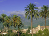 Soller  Majorca (Mallorca)  Balearic Islands  Spain  Europe