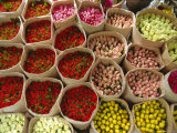 Flowers for Sale  Street Market  Bangkok  Thailand
