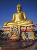 Giant Golden Buddha  Koh Samui  Thailand  Asia