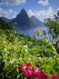 The Pitons  St Lucia  West Indies