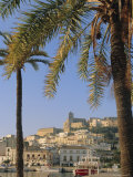 Ibiza Town  Ibiza  Balearic Islands  Spain  Europe