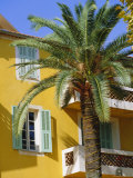 Yellow House and Palm Tree  Villefranche Sur Mer  Cote d'Azur  Provence  France  Europe