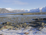Scenery Surrounding the Cumberland Sound  Pangnitung  Baffin Island  Canadian Arctic  Canada