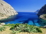 Bay Near Puerto Pollensa  Mallorca (Majorca)  Balearic Islands  Spain  Europe