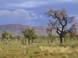 Landscape Around Papunya  Northern Territory  Australia