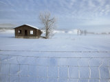 Old House in Winter  West Yellowstone  Montana  United States of America (USA)  North America