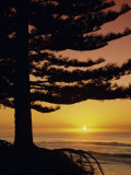 Sunrise  Pine Beach  Gisborne  East Coast  North Island  New Zealand  Pacific