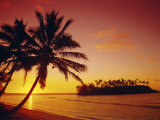 Silhouette of Palm Trees and Desert Island at Sunrise  Rarotonga  Cook Islands  South Pacific
