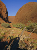 Weathered Rock Formations  the Olgas  Near Ayer's Rock  Northern Territory  Australia