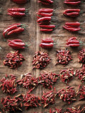 Chilies for Sale  Alor Island  Alor  Indonesia  Southeast Asia  Asia