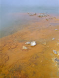 Champagne Pool  Waiotapu Thermal Area  North Island  New Zealand  Pacific