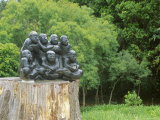 Kirstenbosch Botanical Gardens  Cape Town  South Africa