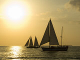 Sailboats at Sunset  Key West  Florida  United States of America  North America