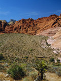Red Rock Canyon  Spring Mountains  15 Miles West of Las Vegas in the Mojave Desert  Nevada  USA