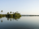 Backwater Near Mobor  Goa  India