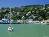 View of Sausalito on the San Francisco Bay  California  USA