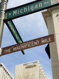 Michigan Avenue or the Magnificent Mile  Famous for Its Shopping  Chicago  Illinois  USA