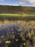 Autumn Colours  Watendlath Tarn  Borrowdale  Lake District National Park  Cumbria  England  UK