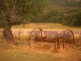 Rural Scene  Provence  France