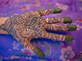 Hand Decorated with Design in Henna  Rajasthan  India