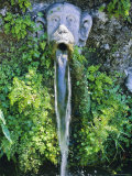 Villa d'Este  Tivoli  Lazio  Italy