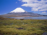 Lake Chungara and the Snow Capped Volcano Parinacota  Chile  South America