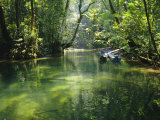 Longboats Moored in Creek Amid Rain Forest  Island of Borneo  Malaysia