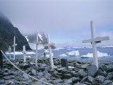 Grave Site with Memorials to Whalers and Scientists  Antarctica  Polar Regions