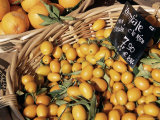 Kumquats for Sale on the Market in Cours Saleya  Nice  Alpes Maritimes  French Riviera  France