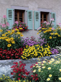 Colourful Garden Flowers and Green Shutters  Servoz  Near Chamonix  Rhone-Alpes  France