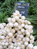 Spring Onions for Sale on Market in the Rue Ste Claire  Annecy  Haute-Savoie  Rhone-Alpes  France