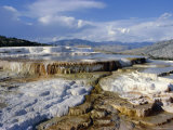 Minerva Terrace  Mammoth Hot Springs  Yellowstone National Park  Wyoming  USA