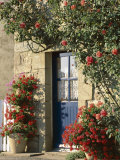Exterior of a Blue Door Surrounded by Red Flowers  Roses and Geraniums  St Cado  Brittany  France