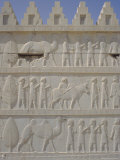 Parade of Nations Carving  Apadana Palace Staircase  Archaeological Site  Iran  Middle East