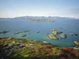 Autumnal Bloom  Senja Vewied from Sommeroy (Summer Isle)  Near Tromso  Norway  Scandinavia