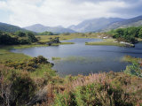 Upper Lake and Macgillycuddy's Reeks  Ring of Kerry  Killarney  Munster  Republic of Ireland (Eire)