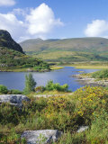 Ring of Kerry Between Upper Lake and Muckross Lake  Munster  Republic of Ireland (Eire)