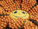 Fruit Display in Bioves Gardens  Lemon Festival  Menton  French Riviera  France