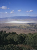 Wildlife  Mossy Trees  Clouds and Salt Lake  Tanzania  East Africa